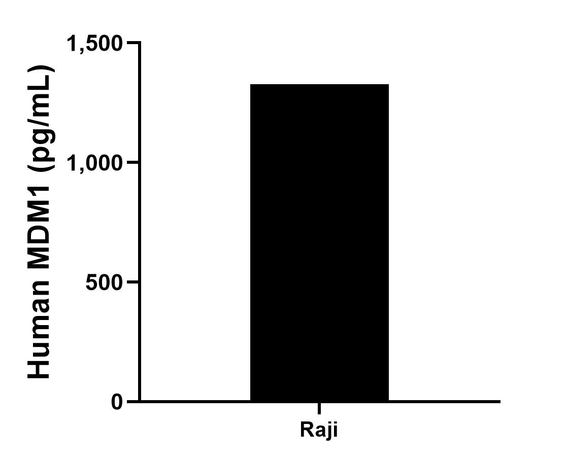 The mean MDM1 concentration was determined to be 1,326.4 pg/mL in Raji cell extract based on a 4.0 mg/mL extract load.